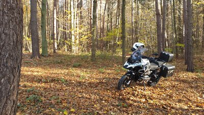 20201108_122725.jpg
