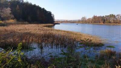 20201108_122041.jpg