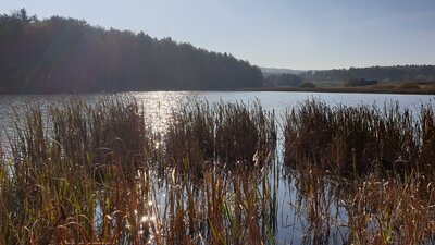 20201108_121336.jpg