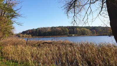 20201108_121202.jpg