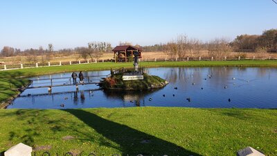 20201108_120117.jpg
