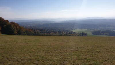 20211010_135344.jpg