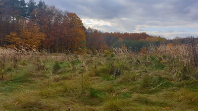 20211024_150856.jpg