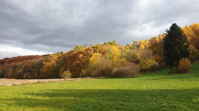 20211024_132759.jpg