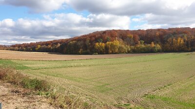 20211024_122028.jpg