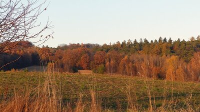P1230074.JPG