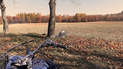 20211030_131357.jpg