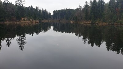 20211107_115514.jpg