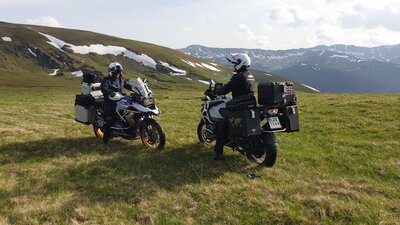 Transalpina