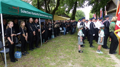 P7.JPG